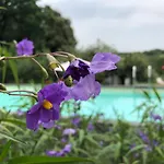 And Wellness Il Pomario Di Montepiglio Naturista 4*