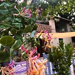 And Wellness Il Pomario Di Montepiglio Naturista