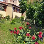 And Wellness Il Pomario Di Montepiglio Naturista Bed & Breakfast