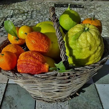 Bed and breakfast And Wellness Il Pomario Di Montepiglio Naturista 4*