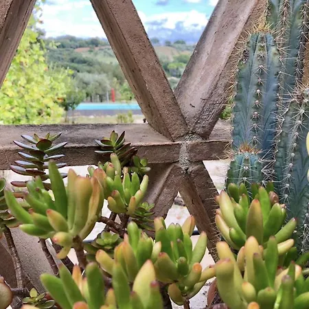 And Wellness Il Pomario Di Montepiglio Naturista 4* Amelia