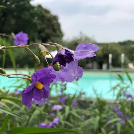 B&B And Wellness Il Pomario Di Montepiglio Resort Naturista 3*