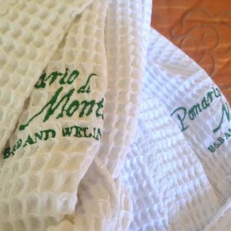 B&B And Wellness Il Pomario Di Montepiglio Resort Naturista Bed & Breakfast Amelia