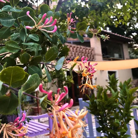 And Wellness Il Pomario Di Montepiglio Naturista