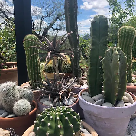 And Wellness Il Pomario Di Montepiglio Naturista Bed and breakfast Amelia