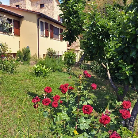 And Wellness Il Pomario Di Montepiglio Naturista לינה וארוחת בוקר