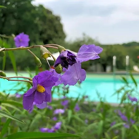 And Wellness Il Pomario Di Montepiglio Naturista Bed & Breakfast 4*