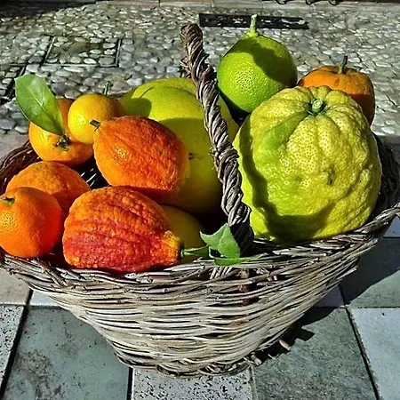 And Wellness Il Pomario Di Montepiglio Naturista Bed & Breakfast