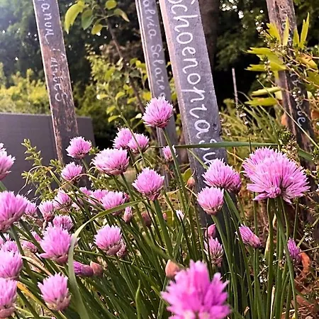 And Wellness Il Pomario Di Montepiglio Naturista Bed & Breakfast