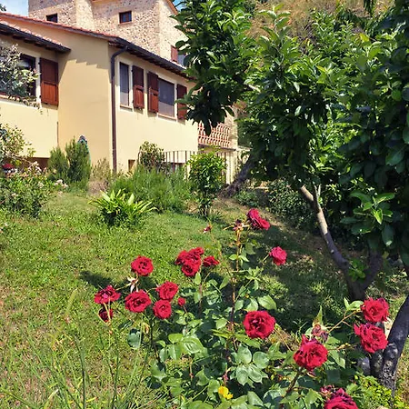 Bed & Breakfast B&B And Wellness Il Pomario Di Montepiglio Resort Naturista Amelia
